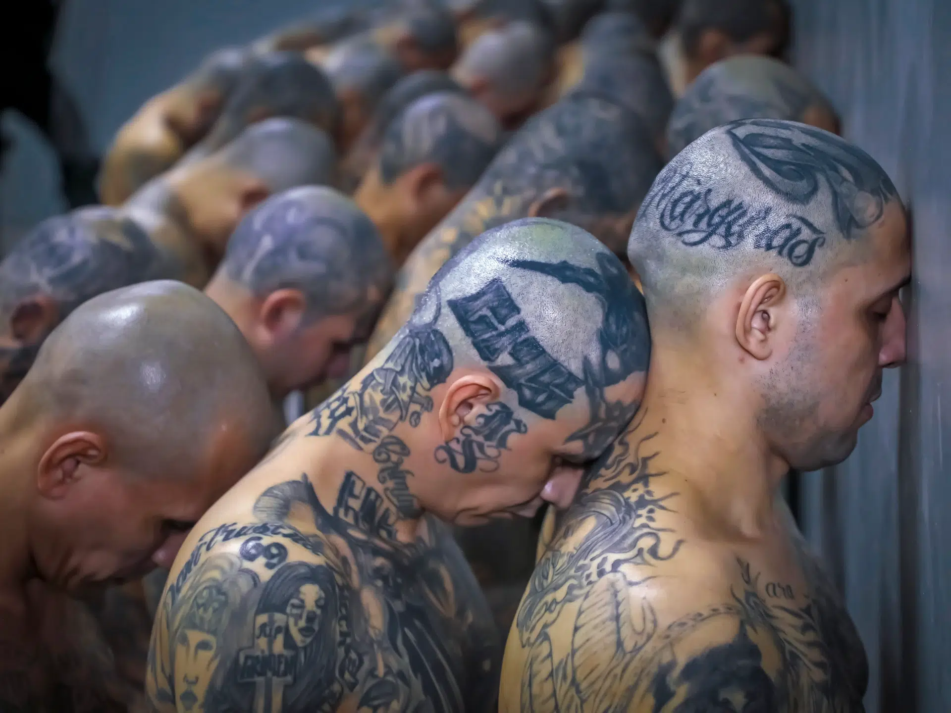 Thousands of Gangsters moved to El Salvador Max prison Thousands of Tattooed Inmates Moved to El Salvador Prison
