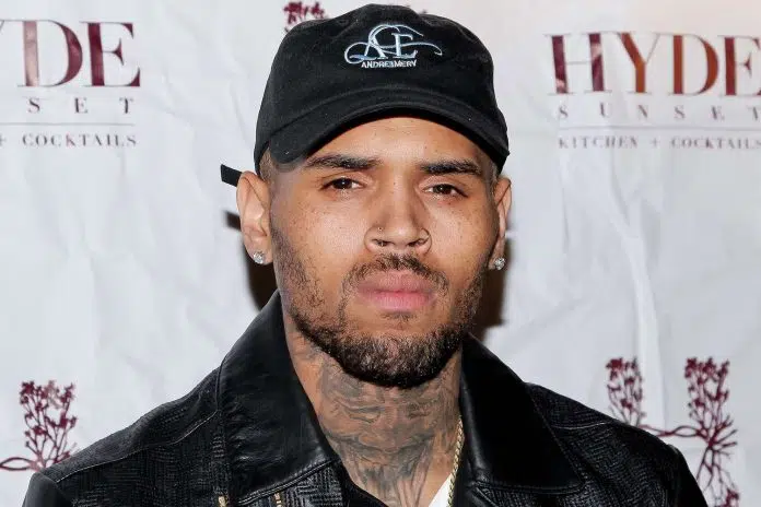 Chris Brown Launches Fan's Phone Into Crowd During Lap Dance
