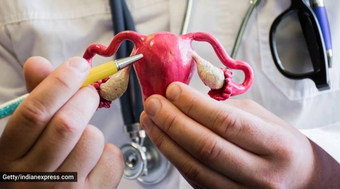 Uterus Transplants