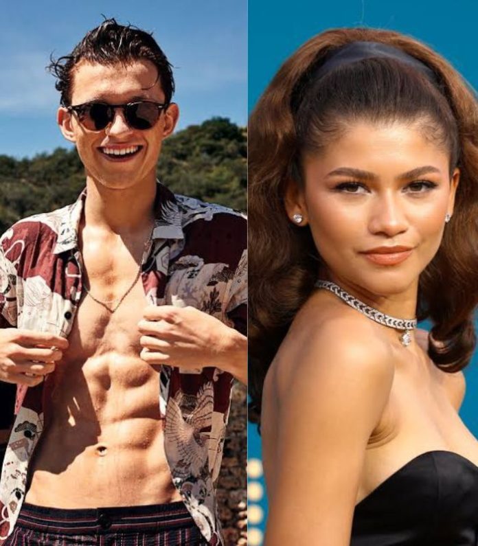 Tom Holland and Zendaya have sparked engagement rumours once more.