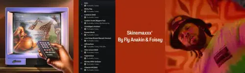 Skinemaxxx" by Fly Anakin & Foisey