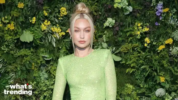 Gigi Hadid marijuana incident