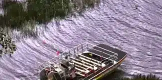 13 Injured in Wild Florida Airboat Collision wild florida airboat collision alligator