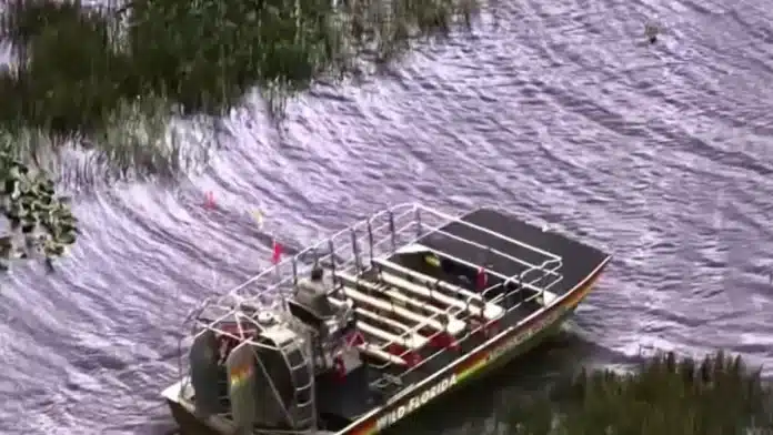 wild florida airboat collision alligator
