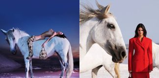 Kendall Jenner’s Stunning Role in Stella McCartney’s Winter 23 Fashion Campaign kendal jenner in stella McCartney Winter 23 Campaign