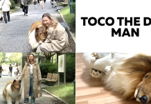 Toco the Dog Man: Japanese Man Spends a Fortune to Live His Furry Fantasy toco the human dog
