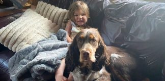 Brave Dog Saves Missing Child During Woodland Nap Brave Dog Saves Missing Child During Woodland Nap