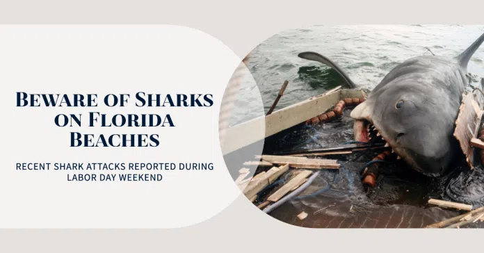 Multiple Shark Attack in Florida