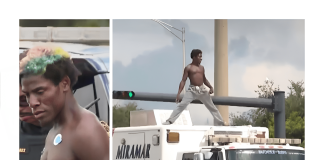 Florida man in custody after climbing on top of fire rescue truck Man detained for climbing on truck