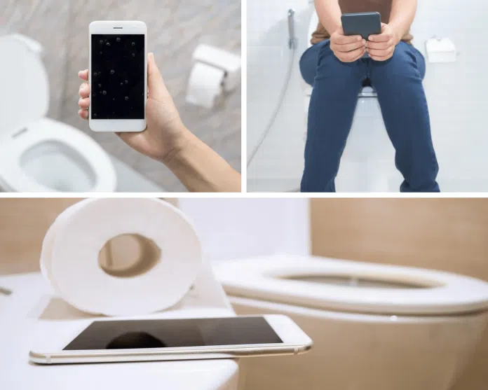 Phone vs toilet bacteria comparison