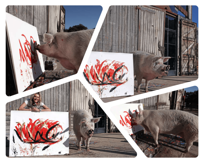 Pigcasso