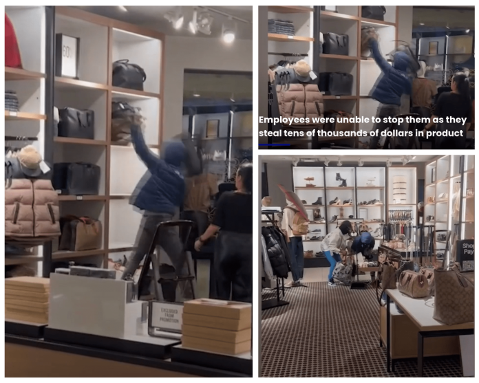 Thieves ransack designer handbag store