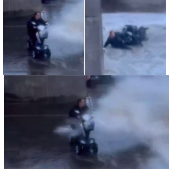 Woman knocked off mobility scooter