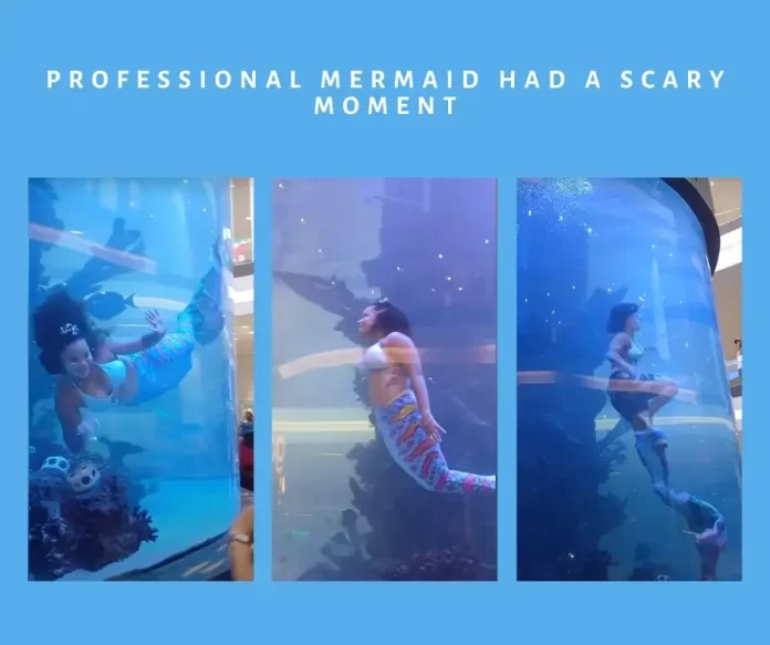 Shopping mall mermaid incident