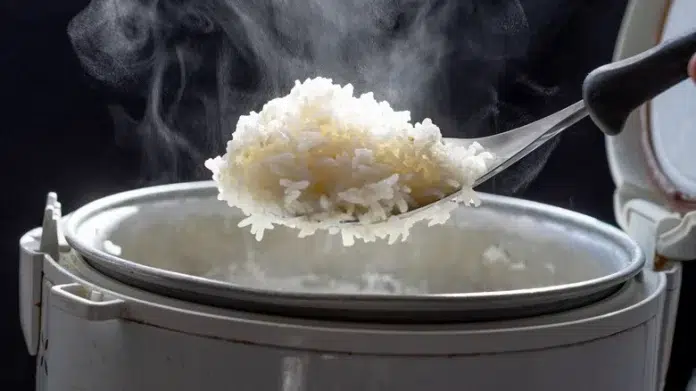 Lurking Danger in Leftovers: Is Your Leftover Rice Safe to Eat?