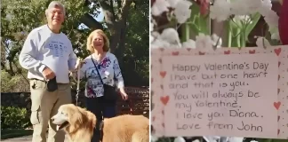 Bay Area’s Most Romantic Man? Sends Lifetime of Flowers to His Forever Valentine Lifetime of flowers for Valentine