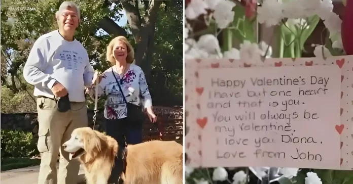 Lifetime of flowers for Valentine