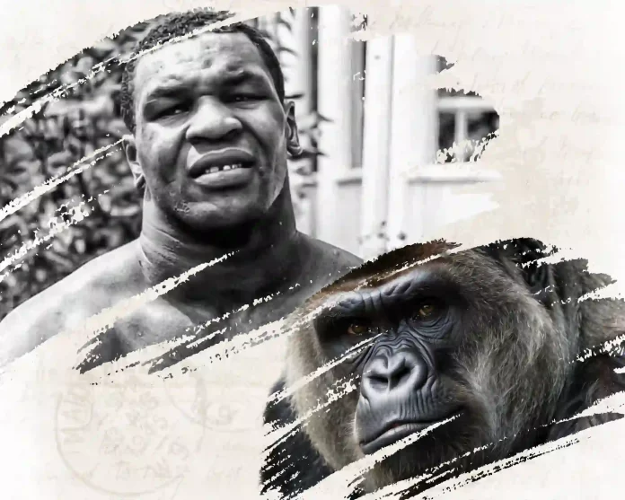 Mike Tyson gorilla fight
