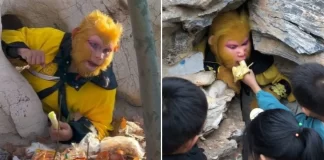 Get Paid to Monkey Around: Earn $846 as China’s Real-Life Sun Wukong! "Paid to dress up as Sun Wukong in China "