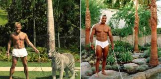 Jake Paul Channels Tyson in Wild Photo Recreation Jake Paul recreates Mike Tyson photo