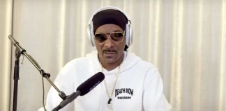 Snoop Dogg Exposes Spotify Payout for 1 Billion Streams Snoop Dogg Spotify earnings