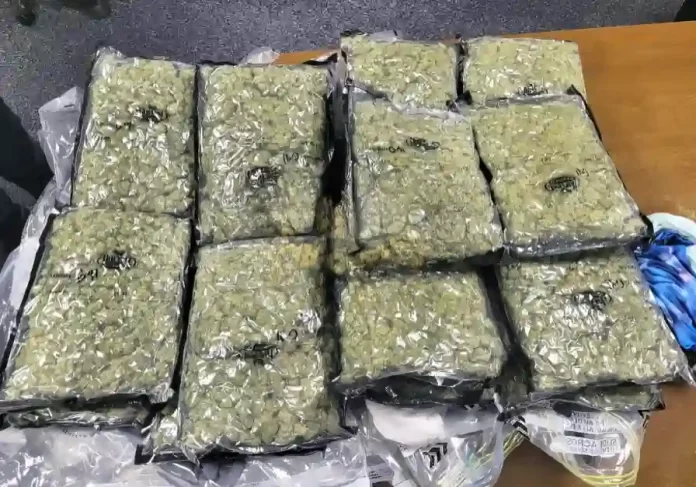 Michigan woman marijuana smuggling
