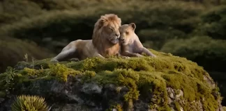 Donald Glover & Beyoncé Lead “MUFASA: THE LION KING” Prequel with Blue Ivy Carter’s Debut! Lion King Mufasa