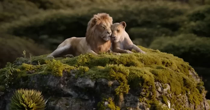 Lion King Mufasa