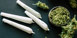 Florida’s marijuana laws could change in November! Florida marijuana legalization