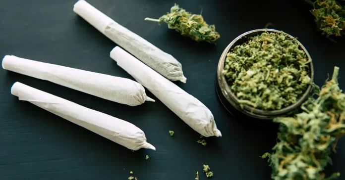 Florida marijuana legalization