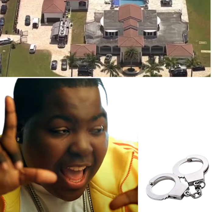 Sean Kingston's mother arrested After mansion raid