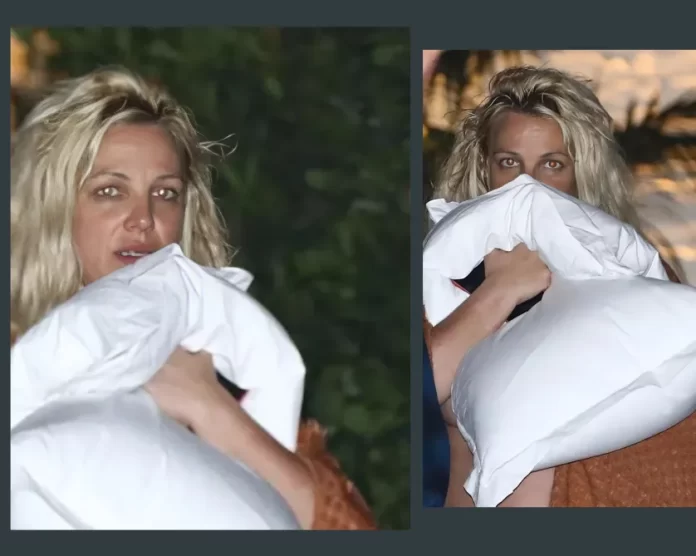 Britney Spears fight with boyfriend