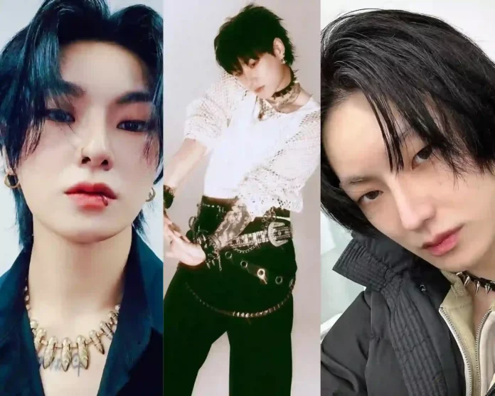 VICTON Hanse