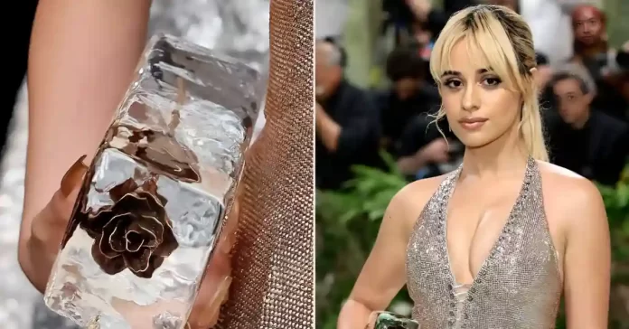 Camila Cabello ICE purse
