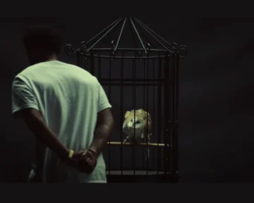 an owl, symbolizing Drake's logo for OVO Sound, is shown trapped in a cage