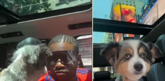A$AP Ferg’s Emotional Reunion with Dog KrasH After 4 Years Missing A$AP Ferg missing dog story