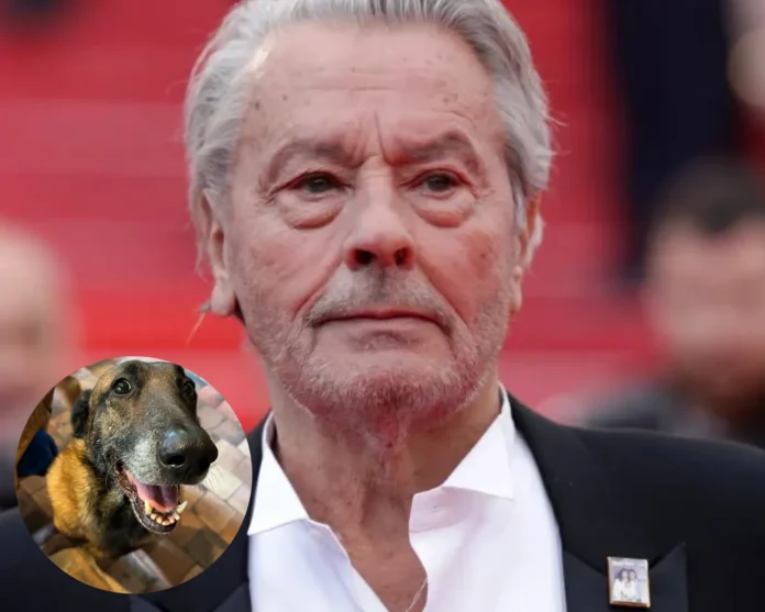 Alain Delon dog euthanasia controversy