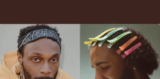 JPEGMAFIA’s Scathing Lyrics About Drake in New Album JPEGMAFIA disses Drake new album review