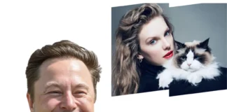 Elon Musk Teases Taylor Swift With a Bold Offer After Her ‘Childless Cat Lady’ Tweet Elon Musk reaction to Taylor Swift tweet