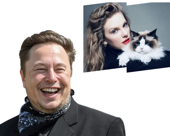 Elon Musk reaction to Taylor Swift tweet