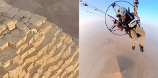 The Dog That Reached the Great Pyramid’s Peak Is Still Alive is the dog who climbed the Great Pyramid alive