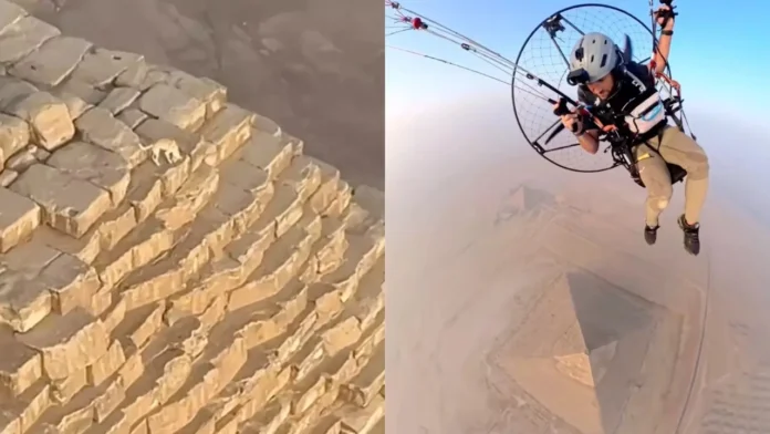 is the dog who climbed the Great Pyramid alive