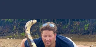 South African YouTuber Dingo Dinkelman Dies from Cobra Bite Dingo Dinkelman death by cobra attack