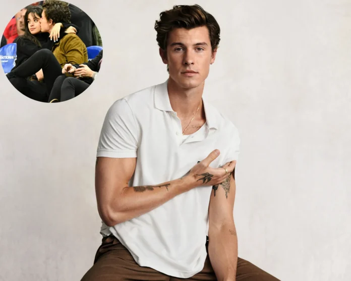 Shawn Mendes Camila Cabello friendship