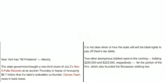 New York State Acquires Roc-A-Fella Shares from Dame Dash New York buys Dame Dash shares Roc-a-fella auction