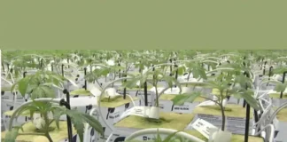 Florida Voters Turn Down Initiative to Legalize Recreational Marijuana Florida marijuana legalization
