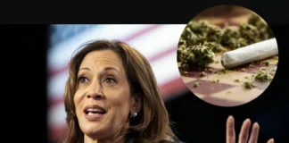Kamala Harris Pledges to Legalize Recreational Marijuana Nationwide if Elected in 2024 Kamala Harris marijuana legalization plan 2024