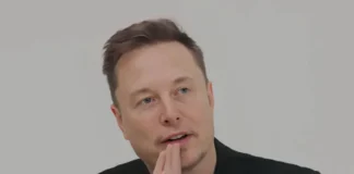 Elon Musk Claims Trump Win Might Bring Epstein Client List to Light Elon Musk on Trump Epstein client list disclosure