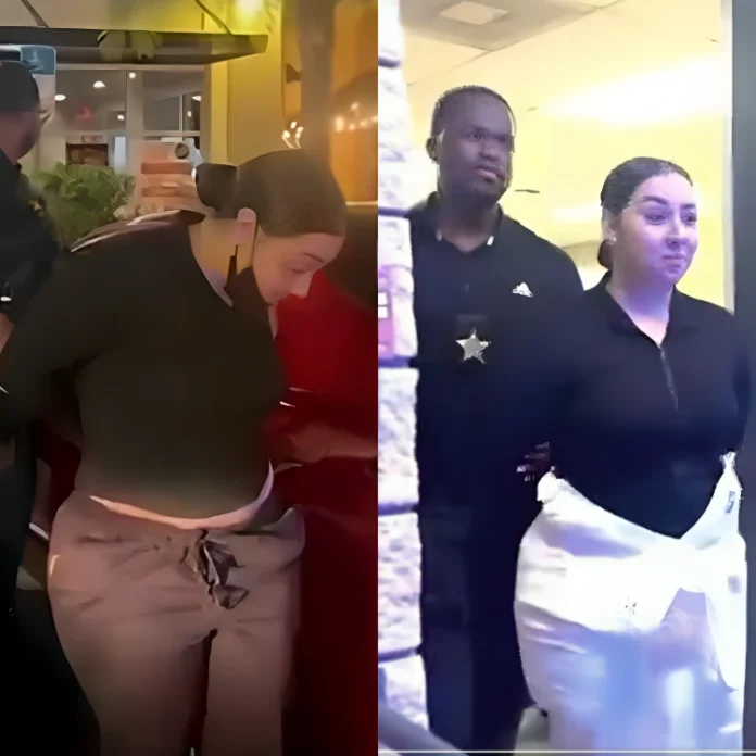 Florida pizza delivery worker stabs pregnant customer