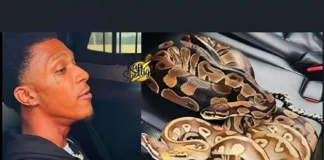 NBA Youngboy’s Brother Caught in Texas with Firearm and Snakes nba youngboy brother arrest texas firearm